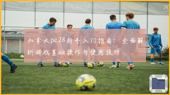 加拿大pc28新手入门指南：全面解析游戏基础操作与使用技巧
