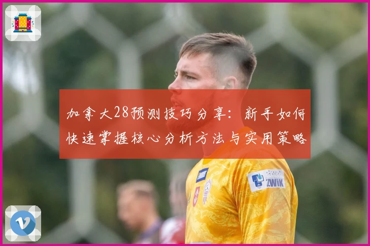 加拿大28预测技巧分享：新手如何快速掌握核心分析方法与实用策略