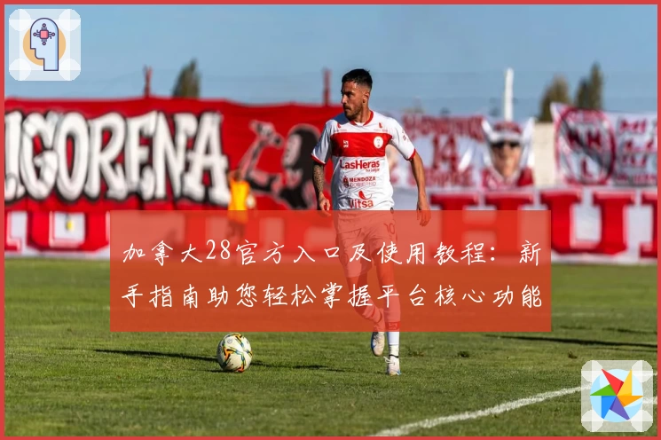 加拿大28官方入口及使用教程：新手指南助您轻松掌握平台核心功能