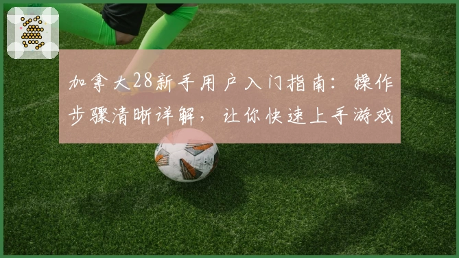 加拿大28新手用户入门指南：操作步骤清晰详解，让你快速上手游戏体验
