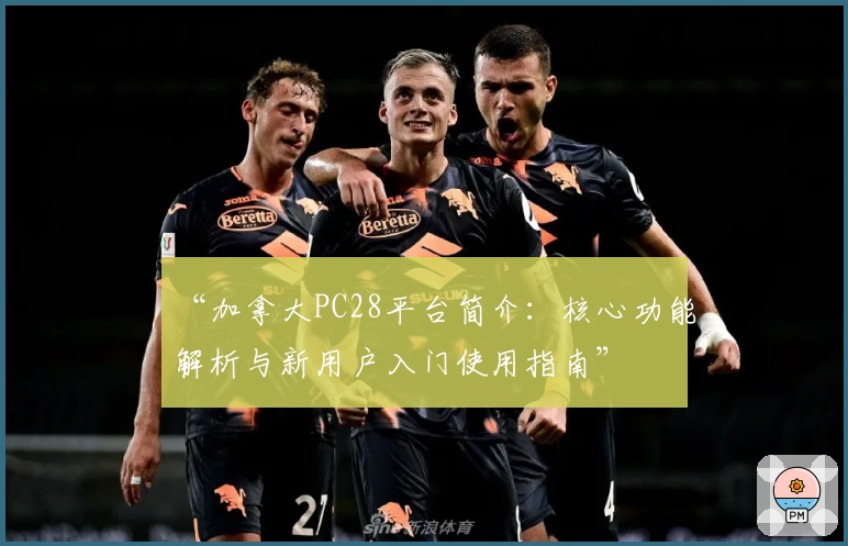 “加拿大PC28平台简介:核心功能解析与新用户入门使用指南”