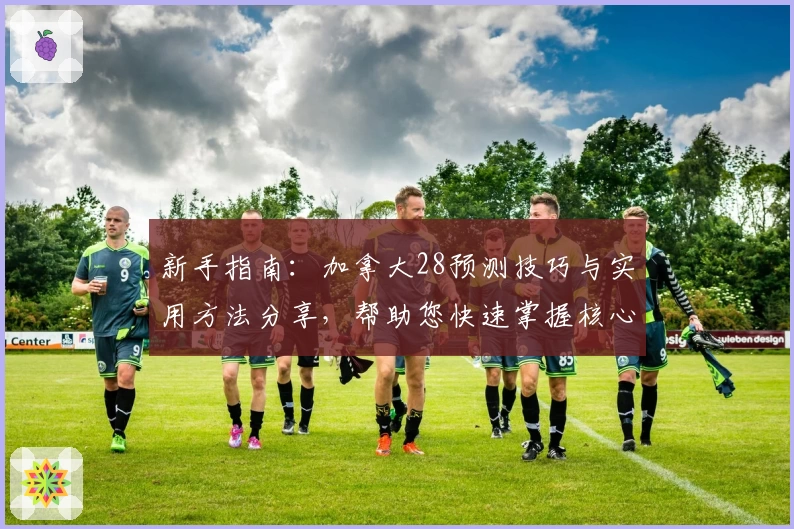 新手指南：加拿大28预测技巧与实用方法分享，帮助您快速掌握核心规律