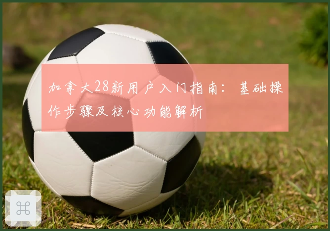 加拿大28新用户入门指南：基础操作步骤及核心功能解析
