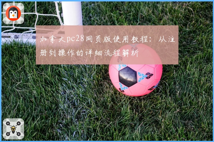 加拿大pc28网页版使用教程：从注册到操作的详细流程解析