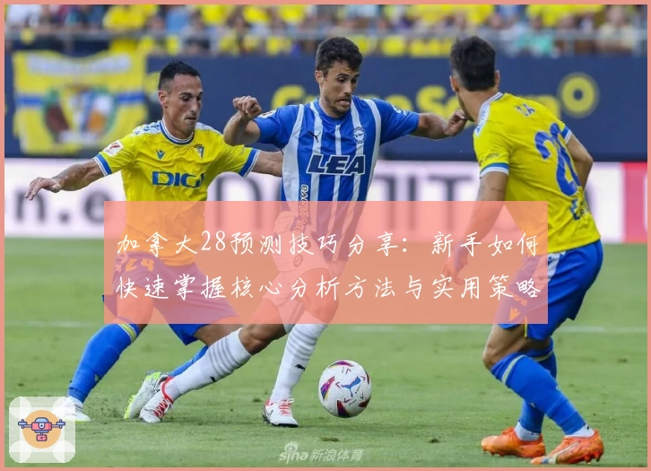加拿大28预测技巧分享：新手如何快速掌握核心分析方法与实用策略