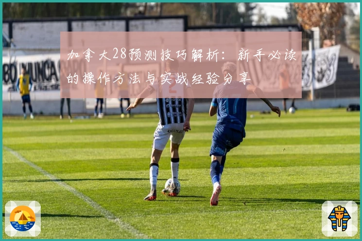 加拿大28预测技巧解析:新手必读的操作方法与实战经验分享