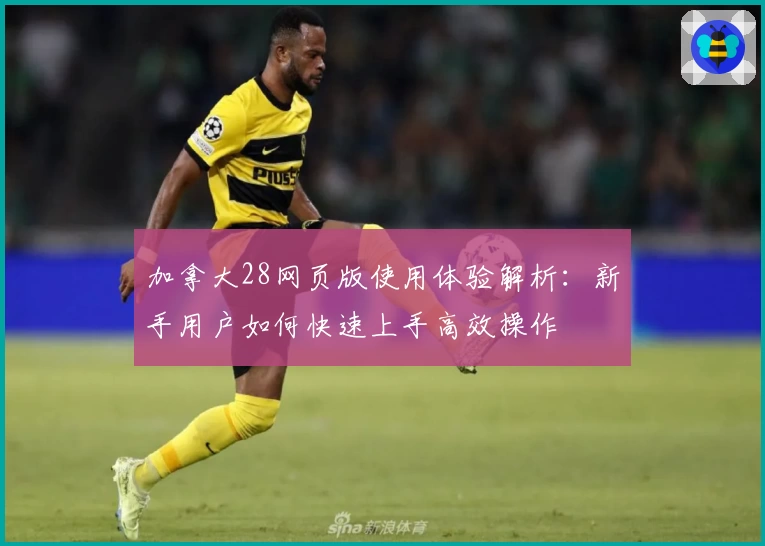 加拿大28网页版使用体验解析：新手用户如何快速上手高效操作