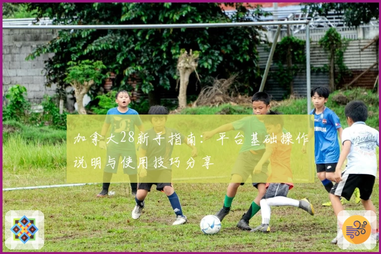 加拿大28新手指南：平台基础操作说明与使用技巧分享