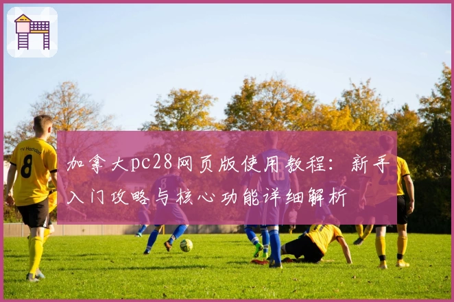 加拿大pc28网页版使用教程：新手入门攻略与核心功能详细解析