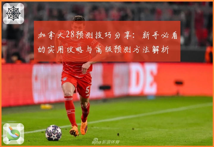 加拿大28预测技巧分享:新手必看的实用攻略与高级预测方法解析