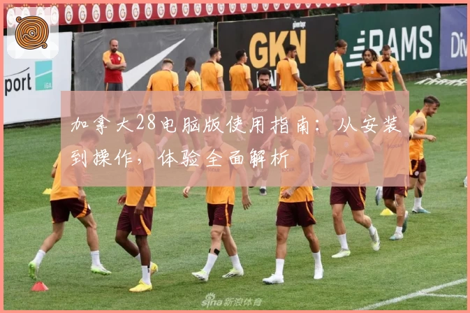 加拿大28电脑版使用指南：从安装到操作，体验全面解析