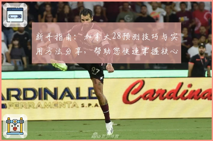新手指南：加拿大28预测技巧与实用方法分享，帮助您快速掌握核心规律