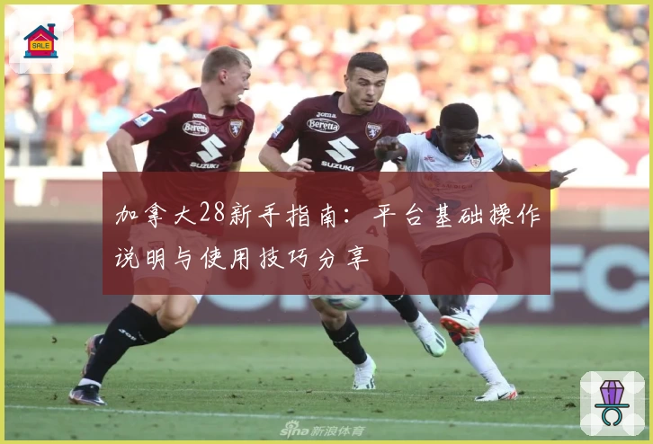 加拿大28新手指南：平台基础操作说明与使用技巧分享