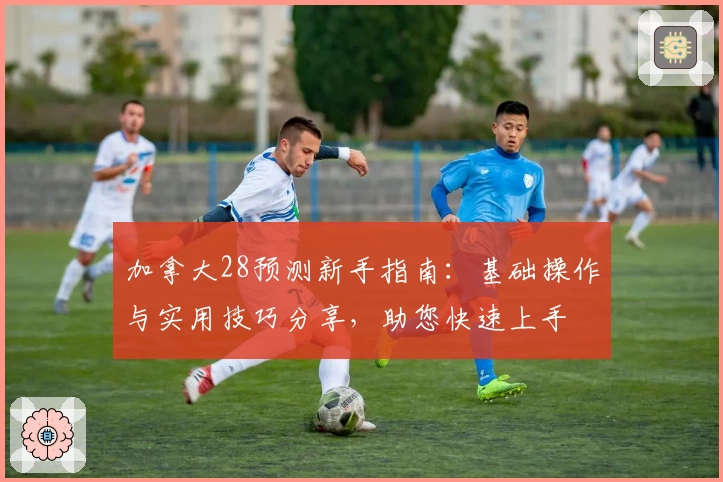 加拿大28预测新手指南：基础操作与实用技巧分享，助您快速上手