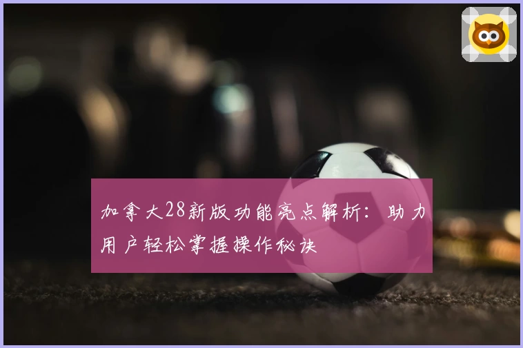 加拿大28新版功能亮点解析：助力用户轻松掌握操作秘诀