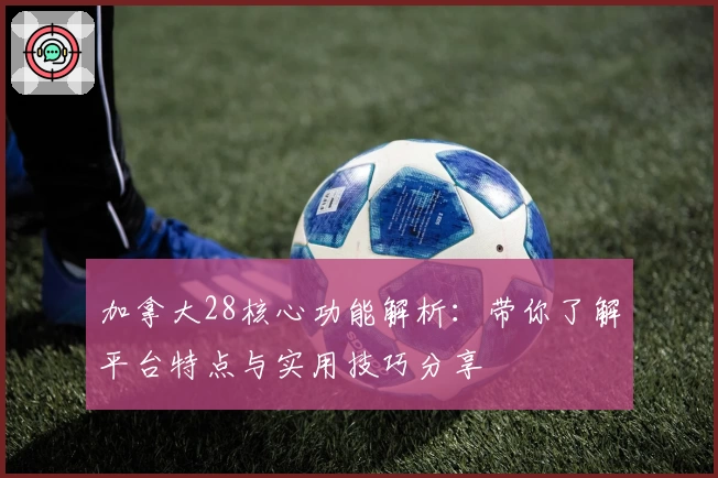 加拿大28核心功能解析：带你了解平台特点与实用技巧分享